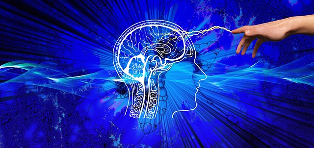 発達障害の人の脳は構造的に変化しているのか。エビデンスを示します